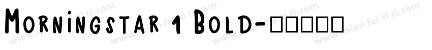 Morningstar 1 Bold字体转换